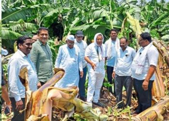 रावेर तालुक्यात वादळी वाऱ्यामुळे २५ पेक्षा अधिक कोटींचे नुकसान झाल्याचा प्राथमिक अंदाज