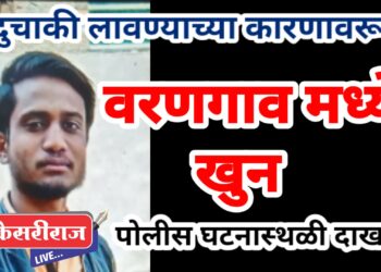 जिल्ह्यात खुनाची मालिका सुरूच : वरणगावात किरकोळ वादातून तरुणाचा खून, दोन जखमी