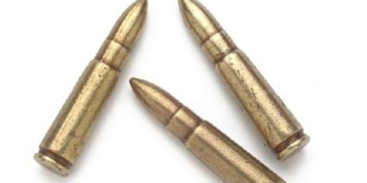 एके ४७ बंदुकीच्या गोळ्या चोरून नेताना कर्मचाऱ्याला अटक