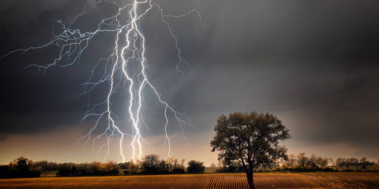 शेतात वीज कोसळल्याने दोन जनावरे दगावली