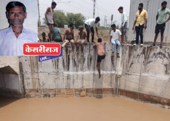 बैलांच्या दोऱ्या सोडल्या, पण स्वतःला शेतकरी वाचवू शकला नाही..!