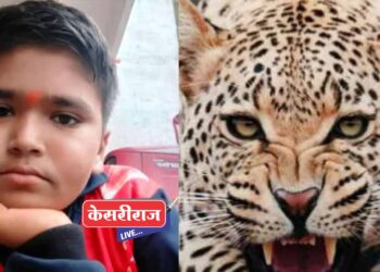 बिबट्याच्या हल्ल्यात १५ वर्षीय मुलगा ठार