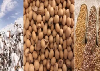 कापूस, सोयाबीन व इतर तेलबिया पिकांच्या उत्पादकता वाढीसाठी विशेष कार्यक्रम