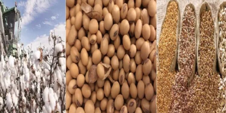 कापूस, सोयाबीन व इतर तेलबिया पिकांच्या उत्पादकता वाढीसाठी विशेष कार्यक्रम