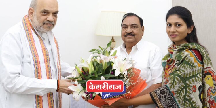 एकनाथराव खडसे यांनी घेतली अमित शहा यांची भेट