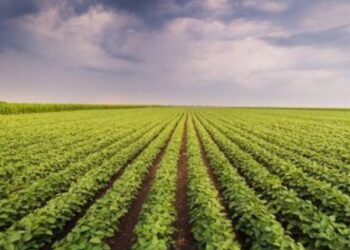 प्रयोगशील शेतकऱ्यांसाठी आली पीक स्पर्धा, शेतकऱ्यांनी सहभागी होण्याचे आवाहन