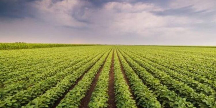 प्रयोगशील शेतकऱ्यांसाठी आली पीक स्पर्धा, शेतकऱ्यांनी सहभागी होण्याचे आवाहन