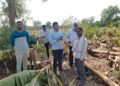 पाचोऱ्यात भाजपचे अमोल शिंदे पोहचले शेतकऱ्यांच्या बांधावर