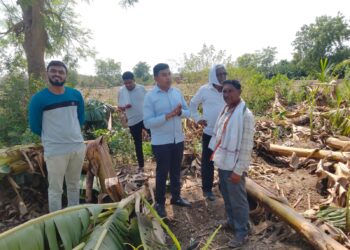 पाचोऱ्यात भाजपचे अमोल शिंदे पोहचले शेतकऱ्यांच्या बांधावर