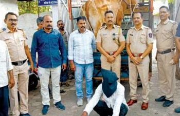 सीसीटीव्ही फुटेजच्या मदतीने चोरीस गेलेला बैल मिळाला : संशयित आरोपीला अटक
