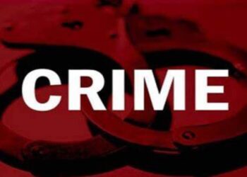 कत्तलीसाठी जाणारे वाहन ताब्यात, अडीच लाखांचा मुद्देमाल जप्त