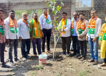 आ. राजूमामा भोळे यांच्या वाढदिवसानिमित्त वृक्षारोपण