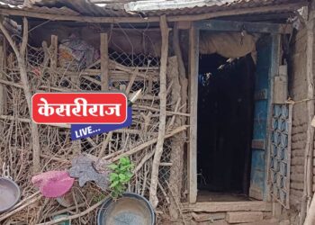 कारमध्ये १२ बकऱ्या कोंबून चोरटे पसार, मालकाचा पाठलाग ठरला निष्फळ !