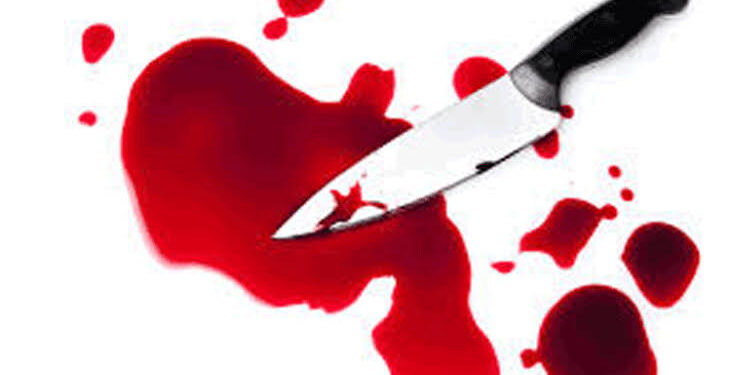 दुसऱ्याच्या पत्नीला पळवून नेणें पडले महागात, पतीने केले चाकूने वार