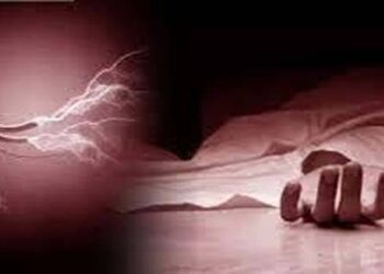 महावितरणच्या भोंगळ कारभारामुळे शेतमजुराला विजेचा धक्का लागून मृत्यू