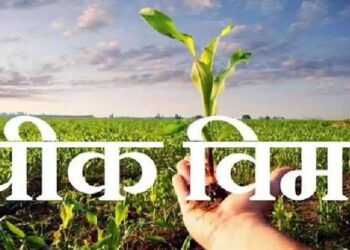 पिक विमा योजनेत शेतकऱ्यांनी सहभागी व्हावे