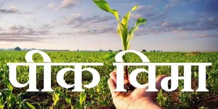 पिक विमा योजनेत शेतकऱ्यांनी सहभागी व्हावे