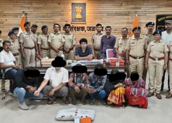 मोठी कारवाई : वाघाचे कातडे विक्रीस आलेल्या टोळीला कस्टम विभागाकडून अटक