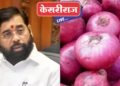 राज्यात नाशिक, छत्रपती संभाजीनगर, सोलापूर येथे कांदा महाबॅंक
