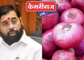 राज्यात नाशिक, छत्रपती संभाजीनगर, सोलापूर येथे कांदा महाबॅंक