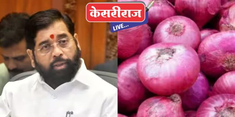 राज्यात नाशिक, छत्रपती संभाजीनगर, सोलापूर येथे कांदा महाबॅंक