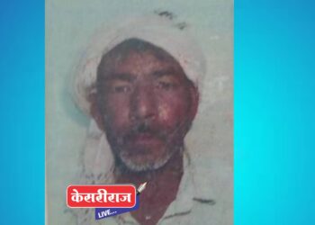 भरधाव वाहनाने दिलेल्या धडकेत शेतमजुराचा मृत्यू