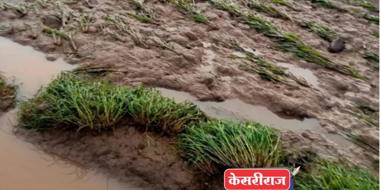 कृषी विभागाचा माती बांध वाहून गेल्याने शेतकऱ्यांचे मोठे नुकसान