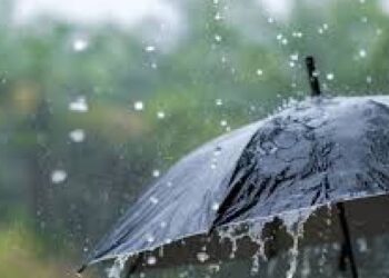 मुसळधार पावसामुळे तापी, पूर्णा नदीकाठच्या गावांना सतर्कतेचा इशारा