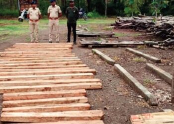 यावल वन विभागाने जप्त केल्या २६ सागवानी पाट्या