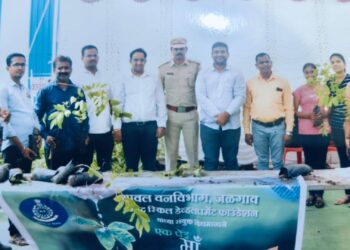 वनविभाग आणि उमेद स्किल डेव्हलपमेंटच्या संयुक्त विदयमाने ‘एक पेड माँ के नाम’