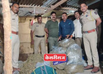 विष्णापूर येथे ११ लाखांचा गांजा पोलिसांनी केला जप्त