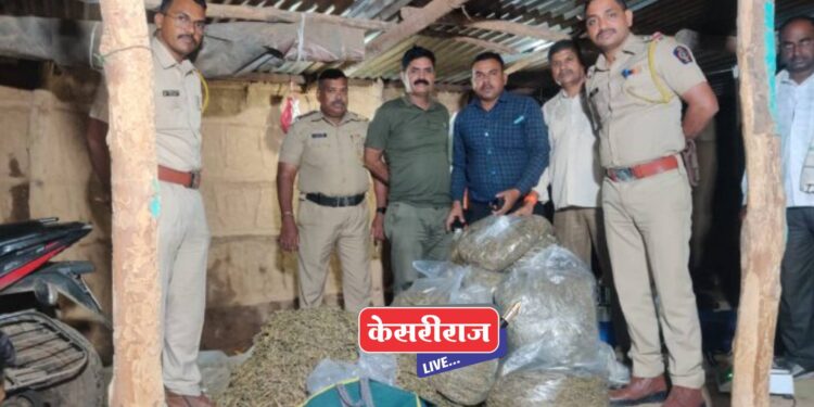 विष्णापूर येथे ११ लाखांचा गांजा पोलिसांनी केला जप्त