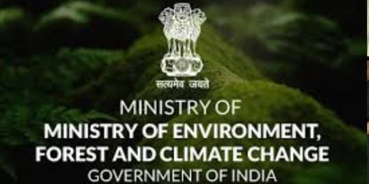 “पाटबंधारे” कडून वनविभागाला मिळाली १० कोटी ४५ लाख रुपये भरपाई