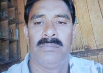 चारा काढताना सर्पदंश झाल्याने शेतमजुराचा मृत्यू