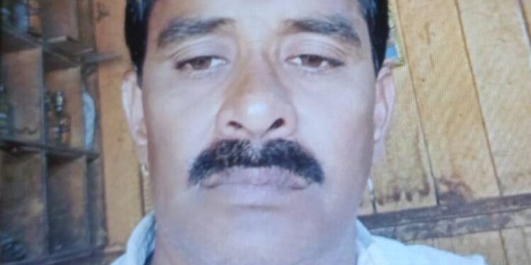 चारा काढताना सर्पदंश झाल्याने शेतमजुराचा मृत्यू