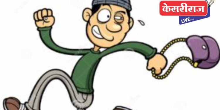 मंगल कार्यालयातून नवरदेवाच्या आईची पर्स चोरली