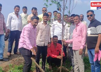पाळधी येथे जीपीएस मित्र परिवारतर्फे वृक्षारोपण