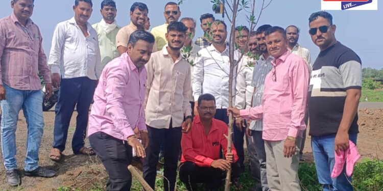 पाळधी येथे जीपीएस मित्र परिवारतर्फे वृक्षारोपण