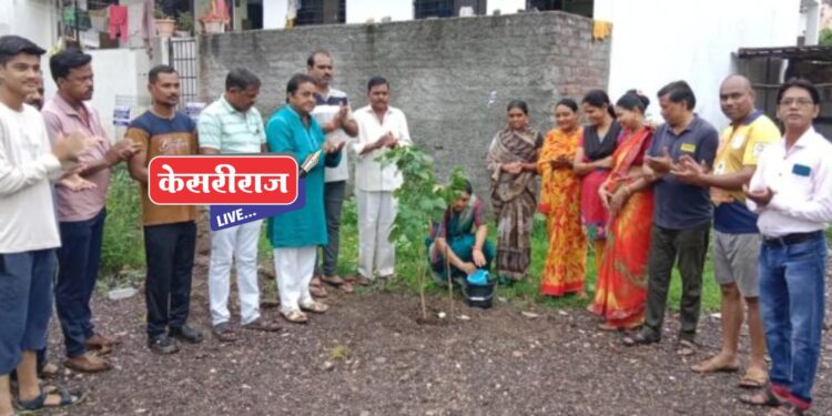 जळगाव शहरातील रोटरी क्लबतर्फे सोनी नगर येथे वृक्ष लागवड :  नागरिकांची उपस्थिती