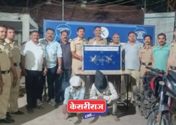 गस्तीदरम्यान मिळाले परजिल्ह्यातील गुन्हेगार : २ गावठी पिस्टल, काडतुसे जप्त