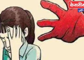 धक्कादायक : व्हॅन चालकाने केला साडेतीन वर्षीय बालिकेचा विनयभंग..!