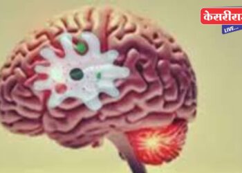 मेंदू खाणाऱ्या अमीबाचा केरळमध्ये तिसरा बळी ; संसर्ग कसा टाळायचा ?