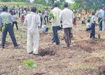 दिवसभरात ग्रामस्थ, विद्यार्थ्यांच्या पुढाकाराने अडीच हजार वृक्षांची लागवड