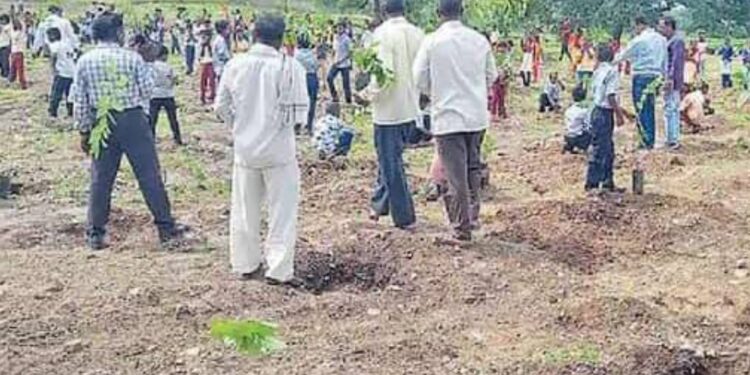 दिवसभरात ग्रामस्थ, विद्यार्थ्यांच्या पुढाकाराने अडीच हजार वृक्षांची लागवड