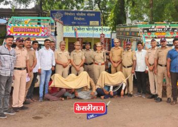 आंतरराज्य गुरे चोरीची टोळी निंभोरा पोलीस स्टेशनच्या कर्मचाऱ्यांनी पकडली