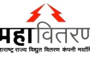 पावसाळ्यात दक्षता बाळगून वीज अपघात टाळा – इब्राहीम मुलाणी