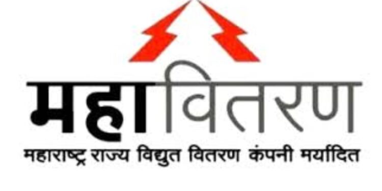 पावसाळ्यात दक्षता बाळगून वीज अपघात टाळा – इब्राहीम मुलाणी