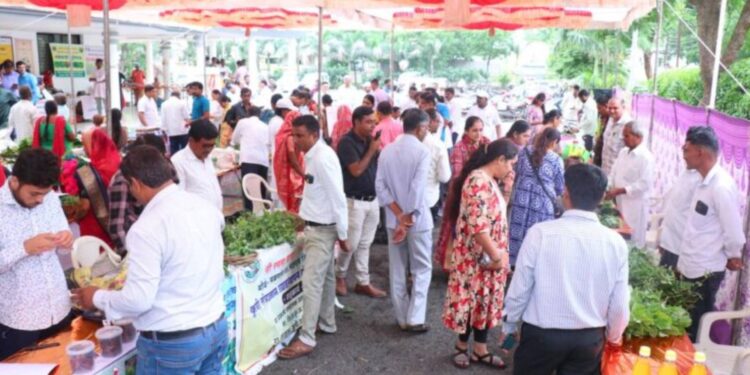 रानभाजी महोत्सव तालुकास्तरावर आयोजित व्हावा –  आ. सुरेश भोळे