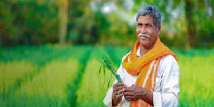 कृषी विभागाच्या पुरस्कारासाठी प्रस्ताव सादर करण्याचे आवाहन