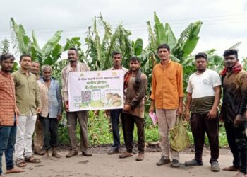 पुरी गोलवाडे येथे महसूल विभागामार्फत ई-पिक पाहणी शिबिर उत्साहात